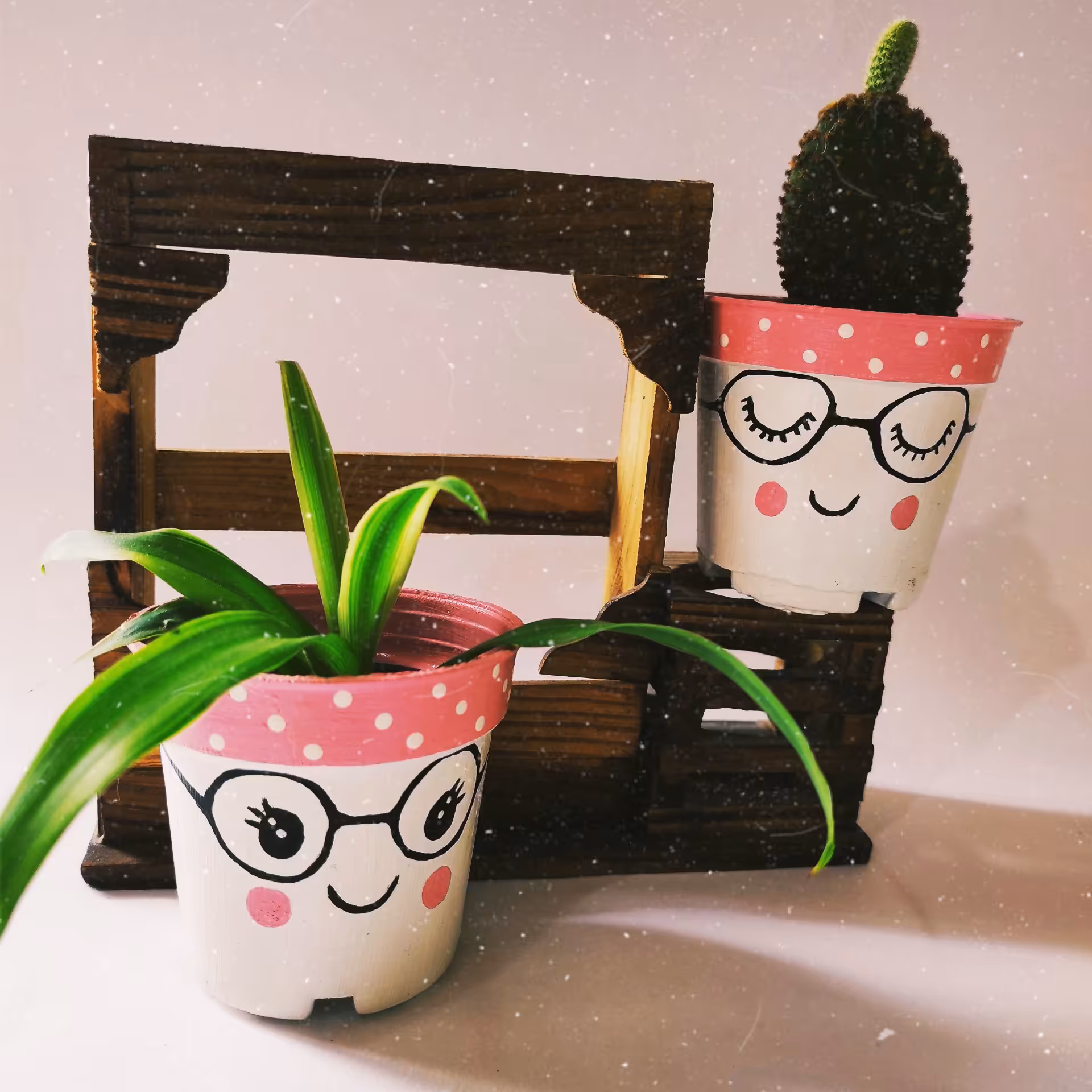 گلدون سایز متوسط دو عددی