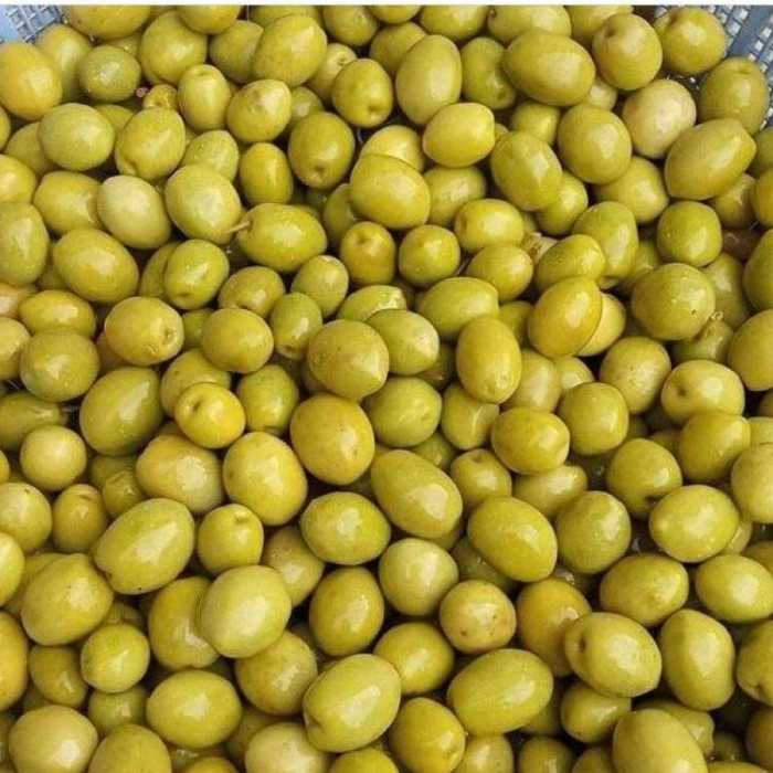 زیتون کنسروی درجه یک به صورت فله و بسته بندی