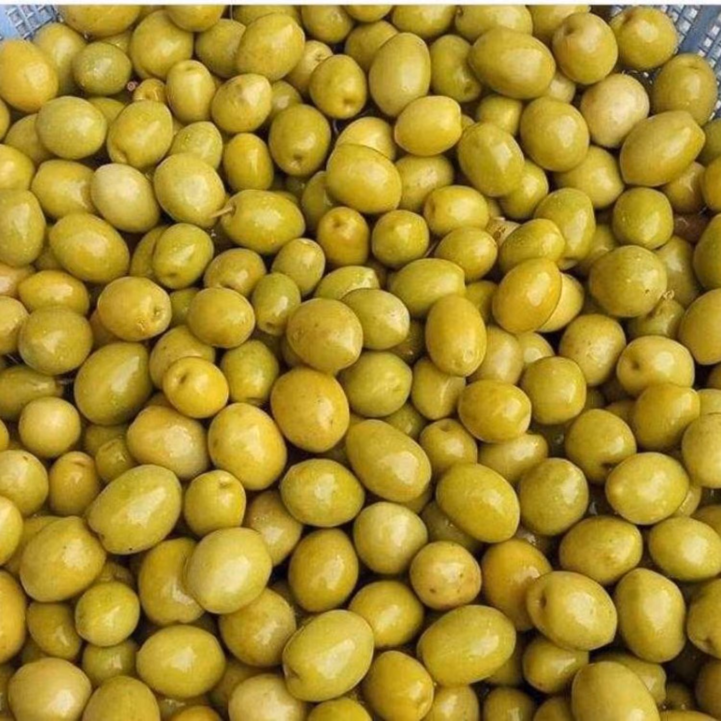 زیتون کنسروی درجه یک به صورت فله و بسته بندی