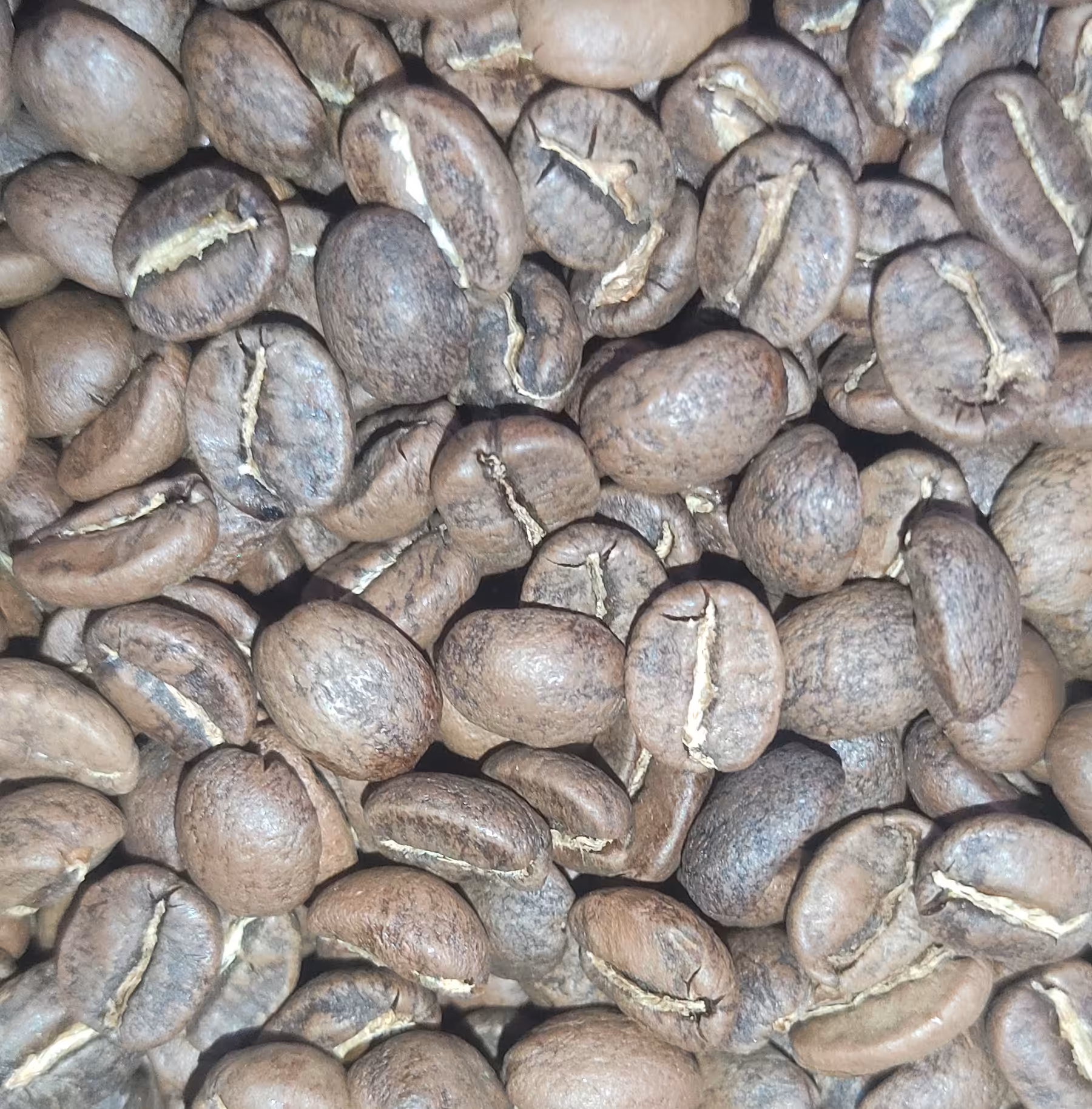 قهوه تانزانیا - 500 گرمی