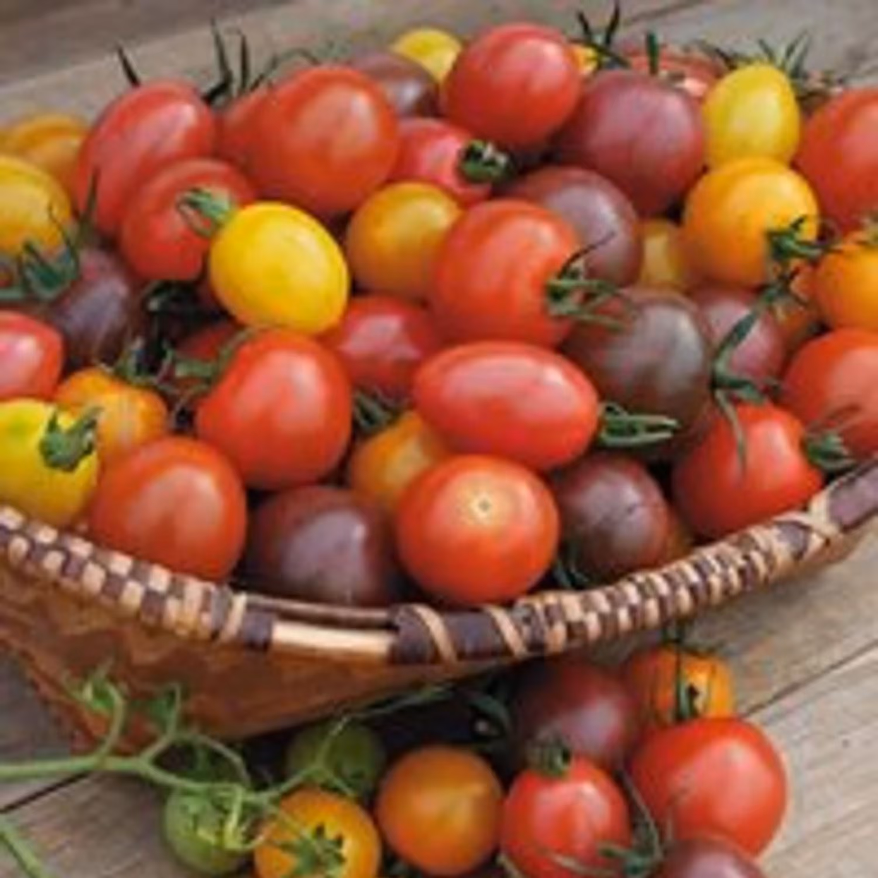 بذر گوجه کبابی میکس
