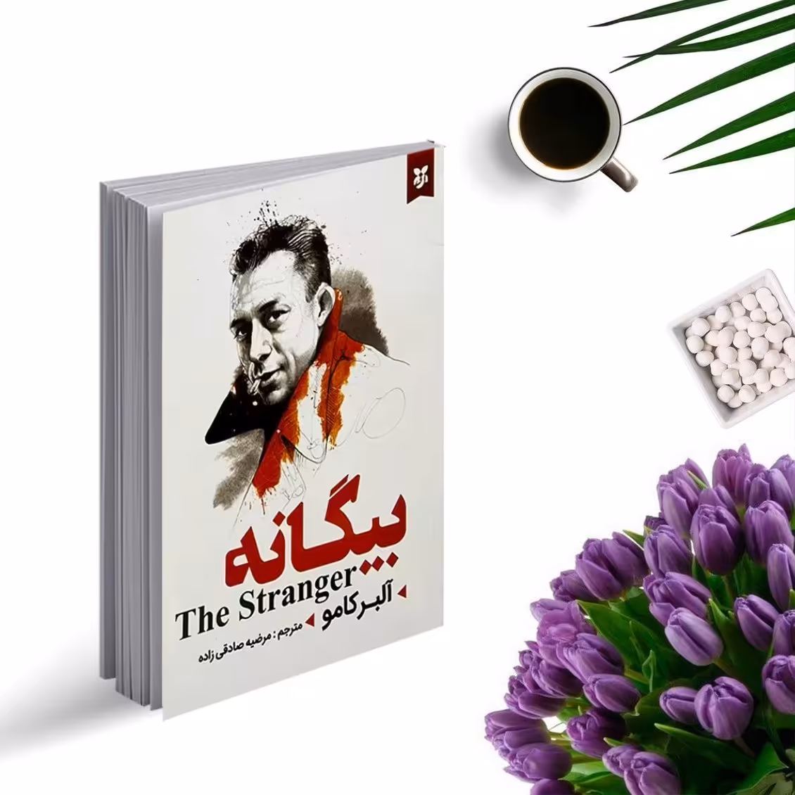 کتاب بیگانه اثر آلبر کامو انتشارات نیک فرجام