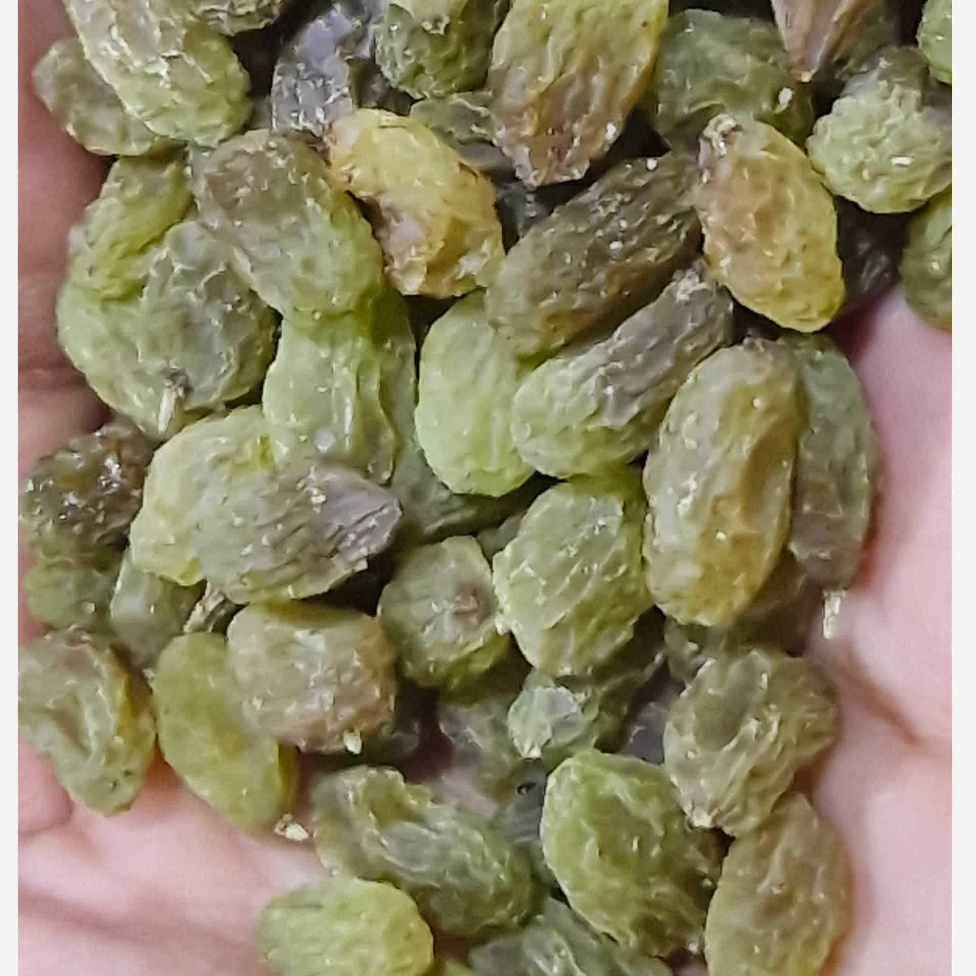 کشمش بندی سبز محلی مهردشت 1 کیلویی (بدون تیزاب)