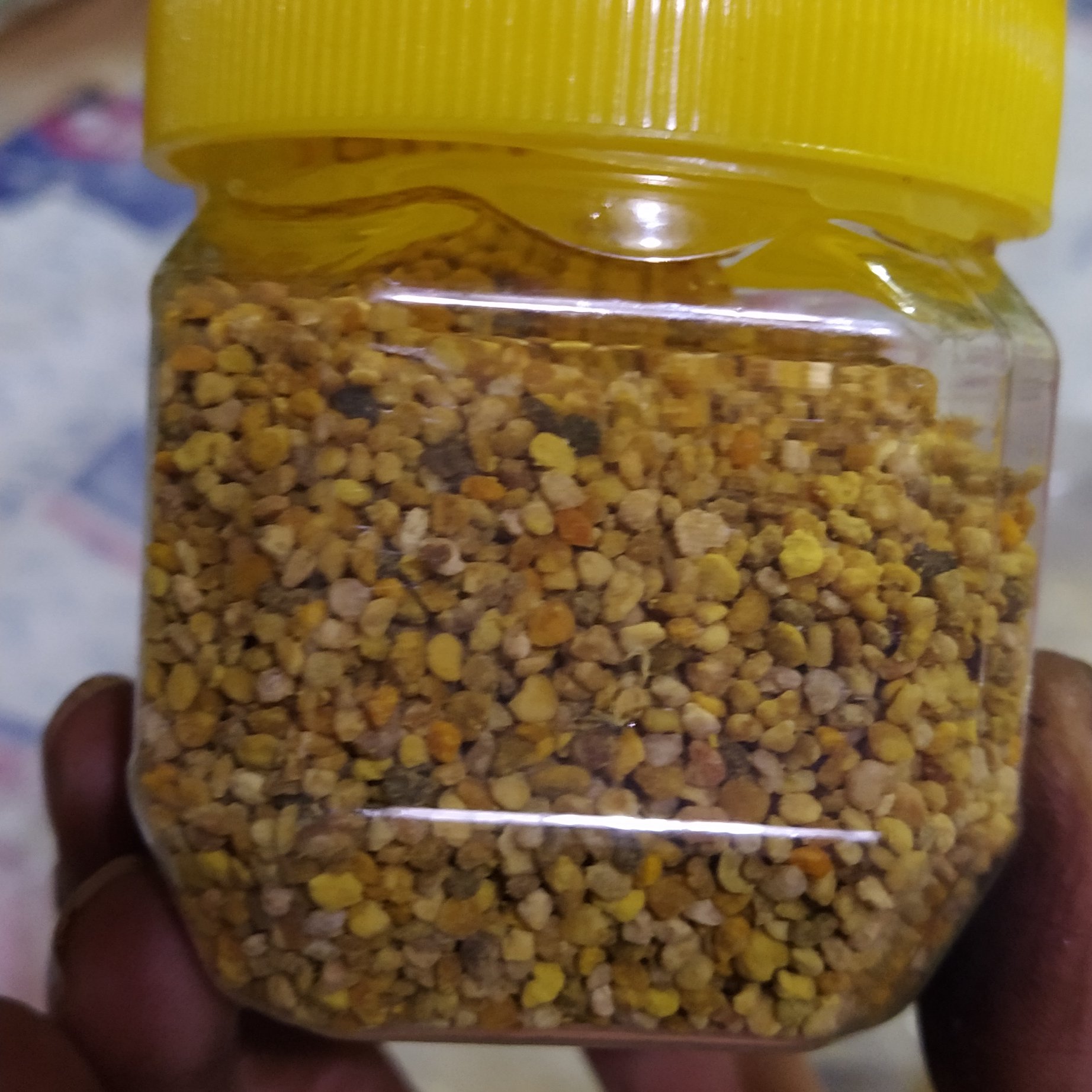 گرده گل کوهستانی کندوان