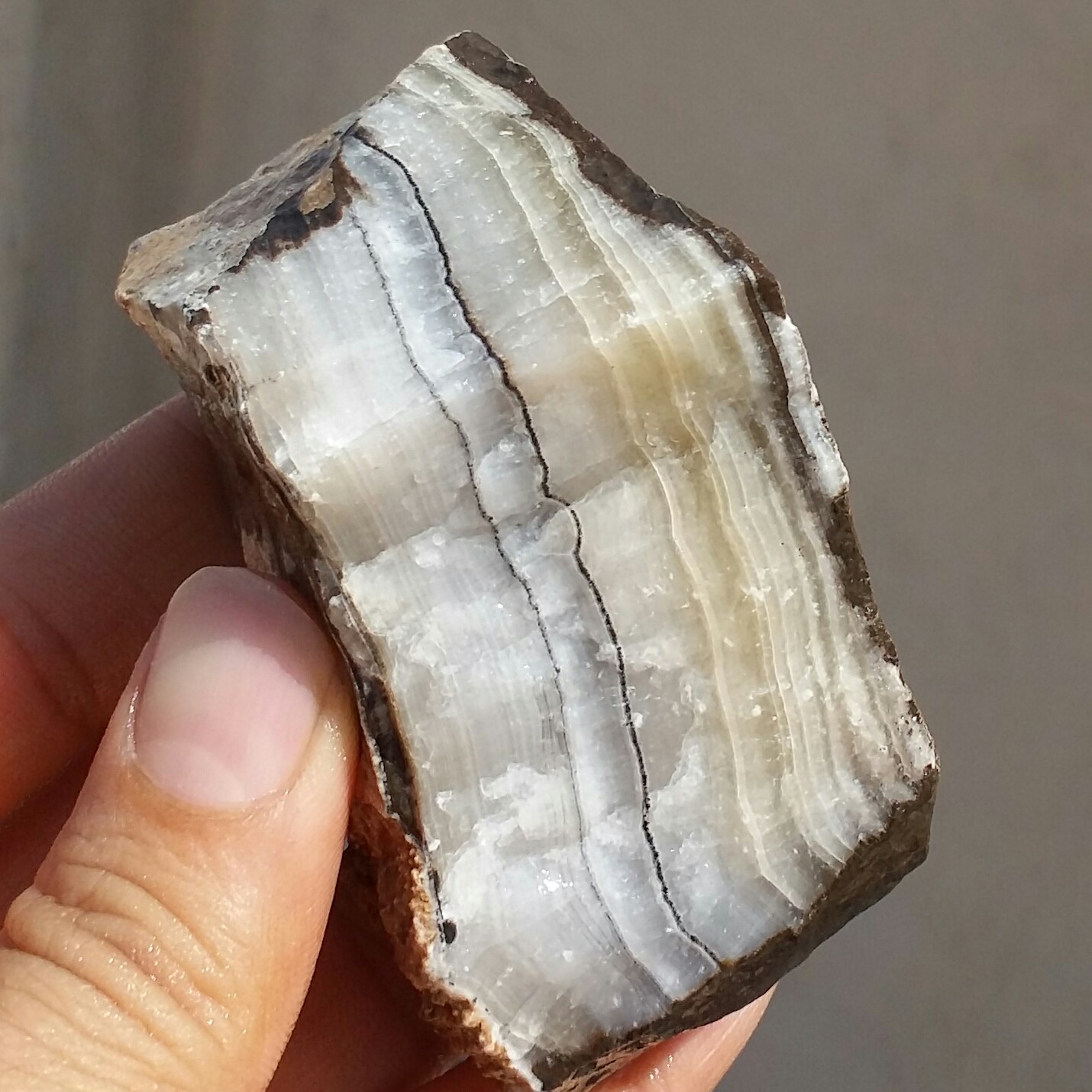 سنگ راف وارداتی آراگونیت رنگی بسیار کمیاب  100 در 100 طبیعی  شاهکار خلقت
با قابلیت ساخت چند نگین خاص و دیدنی
کد 11023