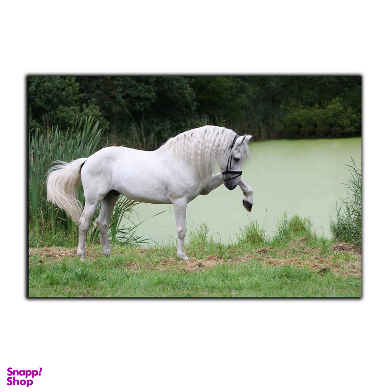 تابلو شاسی بکلیت طرح دشت و اسب مدل SH-7547