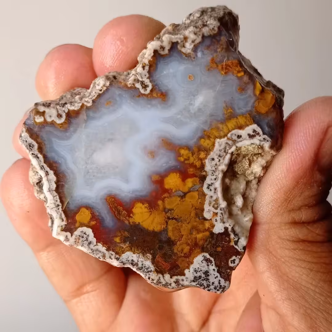 جفت عقیق شجر اصا معدن سه قلعه