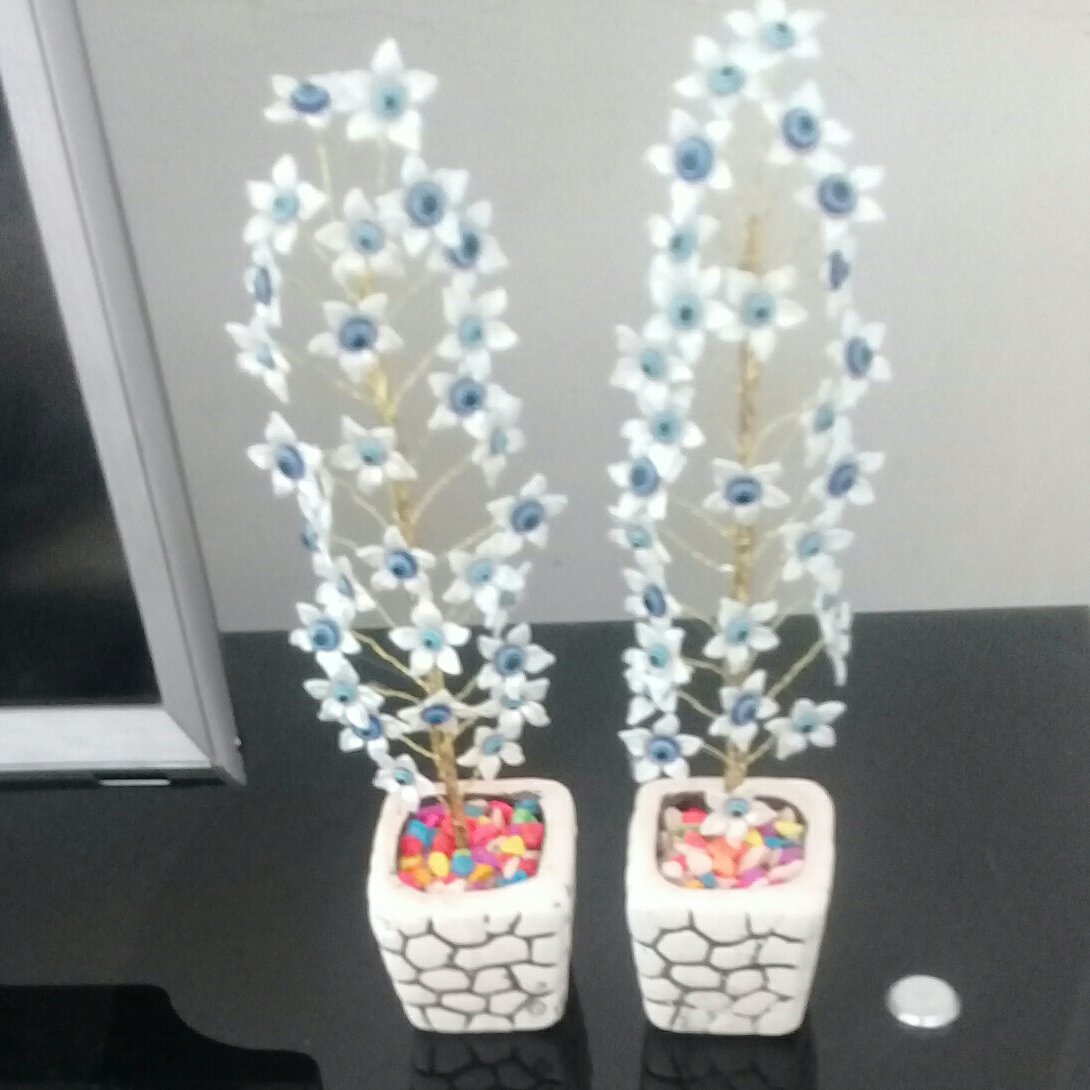 درختچه چشم نظرکریستالی ارتفاع 30سانتی متر