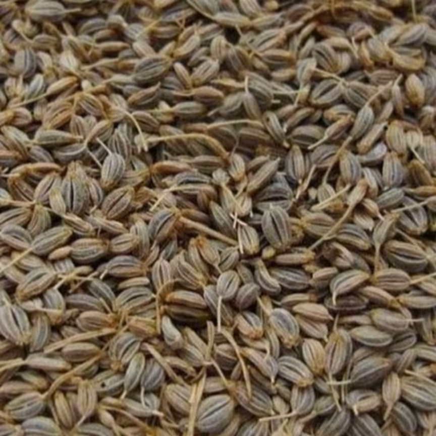 بذر سبزی جعفری