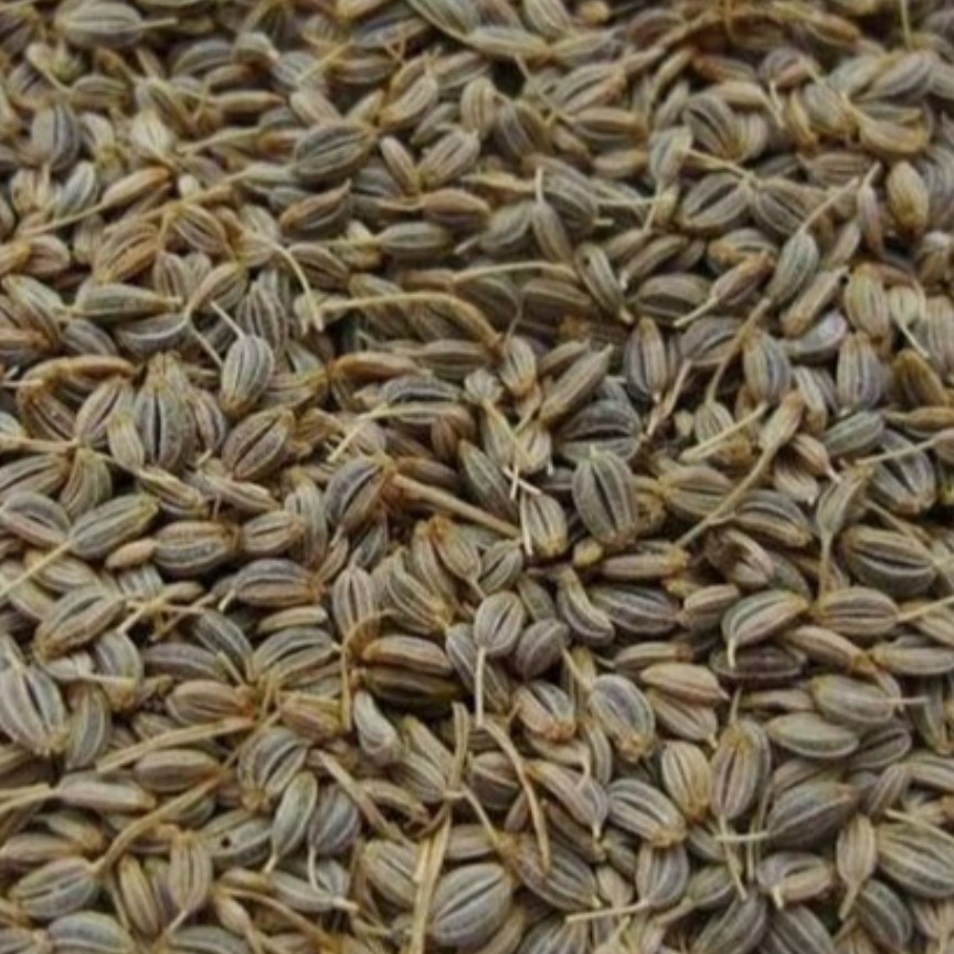 بذر سبزی جعفری