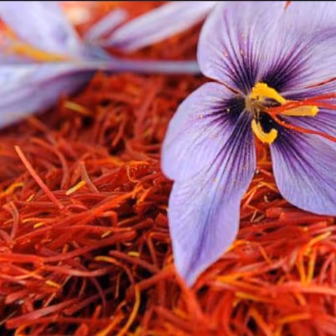 زعفران اعلا  صدر صد خالص یک گرمی 