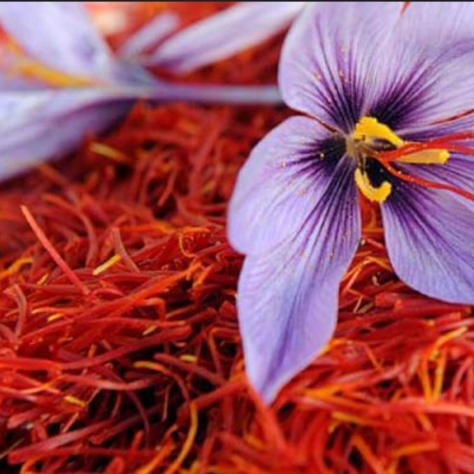 زعفران اعلا  صدر صد خالص یک گرمی 