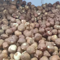 مغز فندق خام درشت