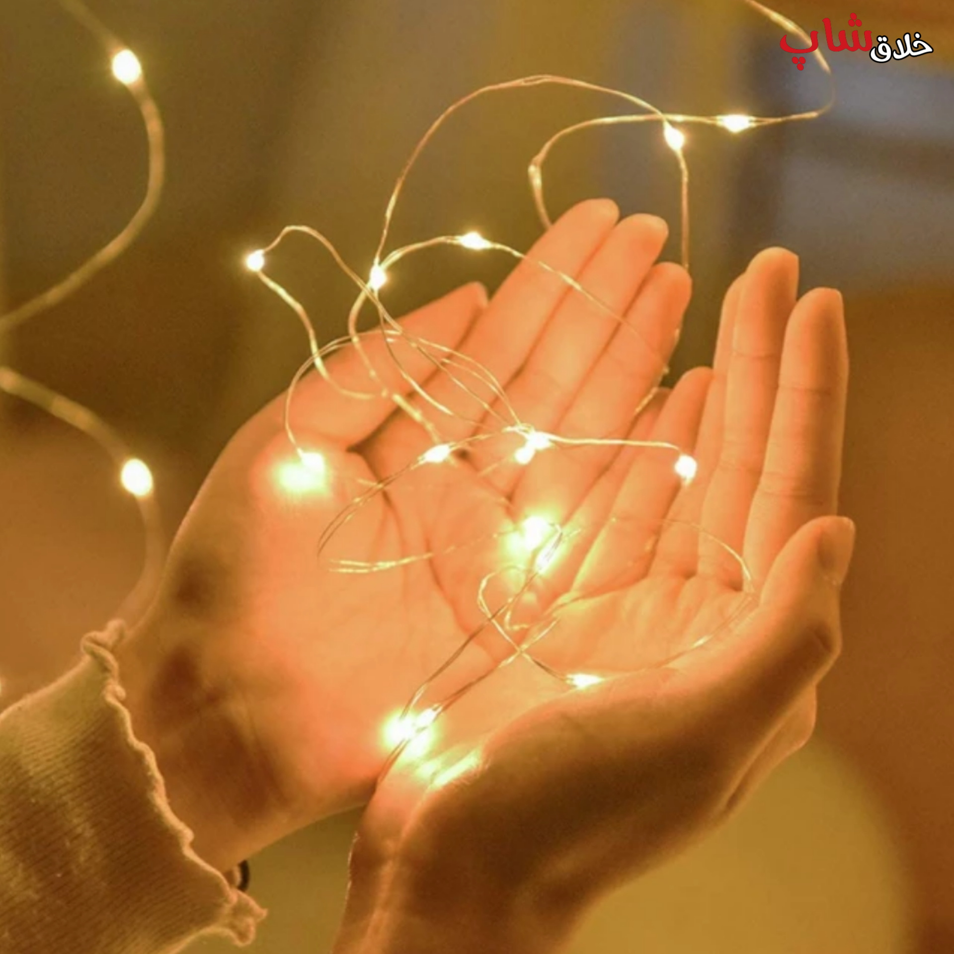 ریسه ال ای دی باطری خور LED کد 05