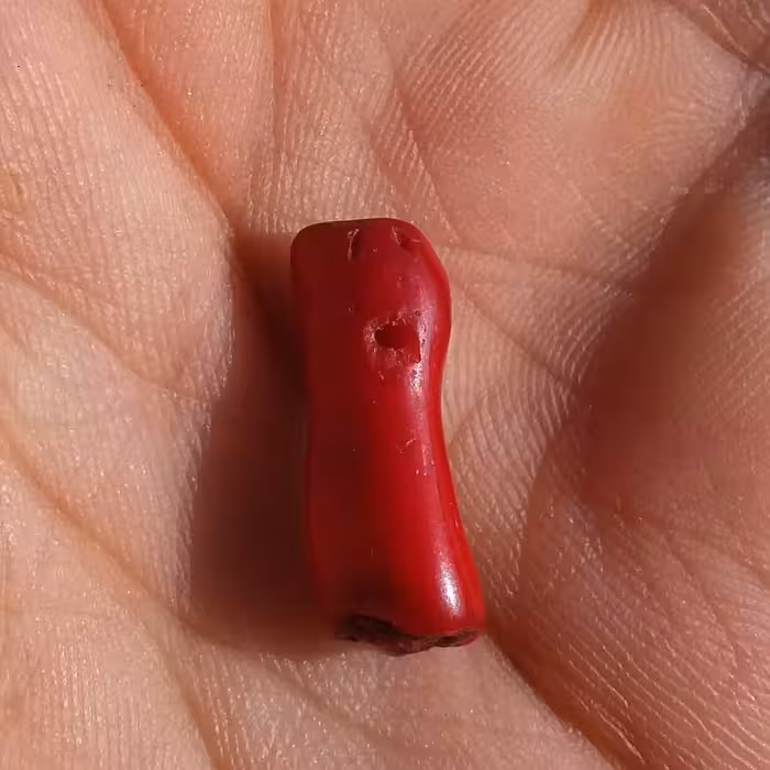 سنگ مرجان سرخ سوراخ دار مناسب آویز شاهکار خلقت بی نظیییر
کد 10347