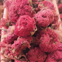 گلنار فارسی 100 گرمی