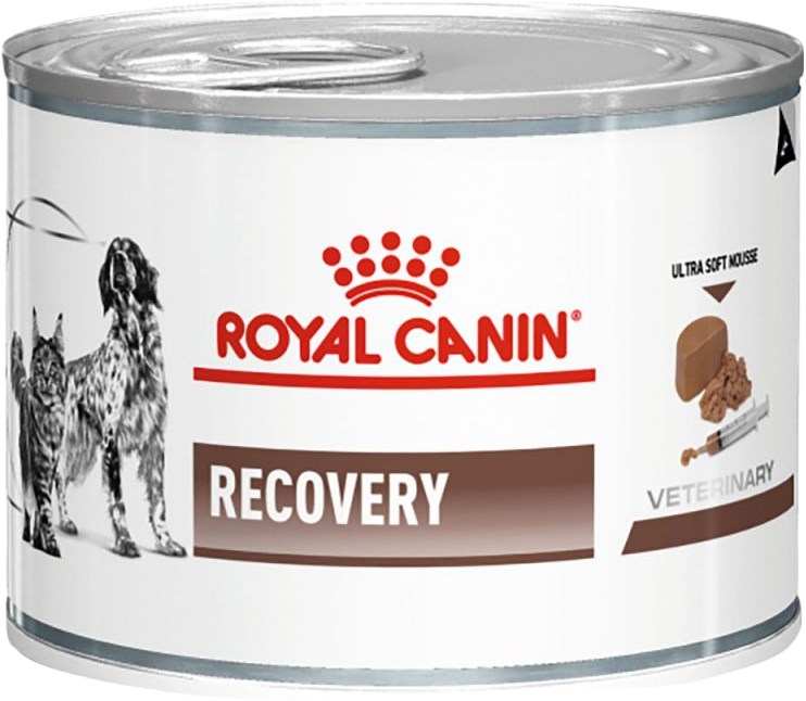 کنسرو ریکاوری سگ و گربه برند رویال کنین ROYAL CANIN