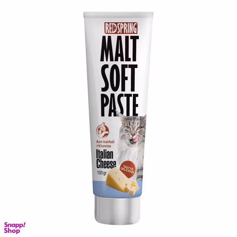 خمیر مالت گربه رداسپرینگ مدل پنیر ایتالیایی وزن 100 گرم