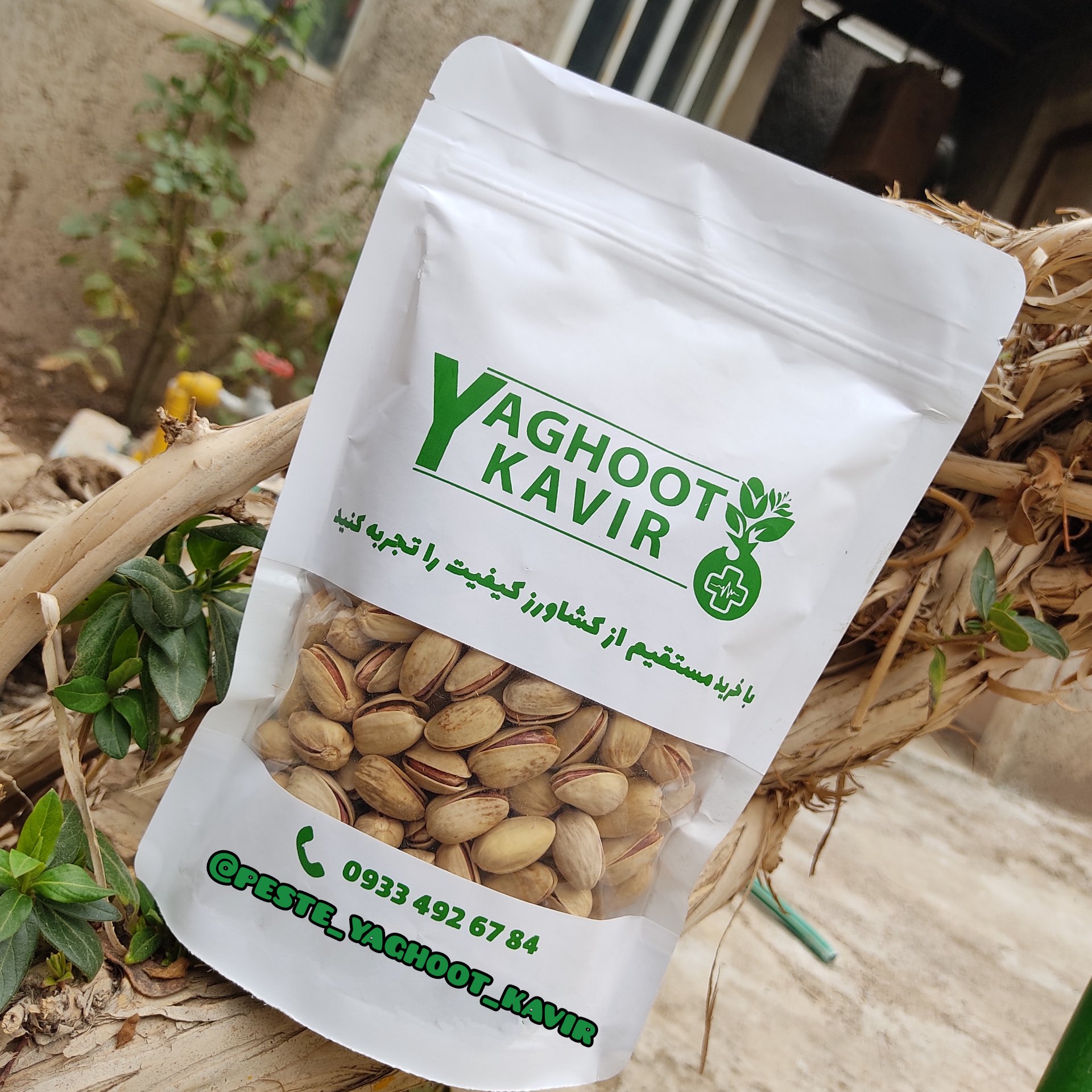 پسته اکبری انس 22 دستچین امسالی 450 گرمی( مستقیم از باغدار)