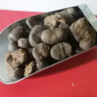 عنبر نسا بهاره الاغ ماده چهارمحال بختیاری (350گرمی) 