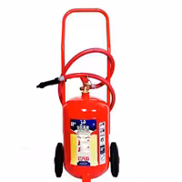 کپسول آتش نشانی 25کیلوئی پودر گاز 