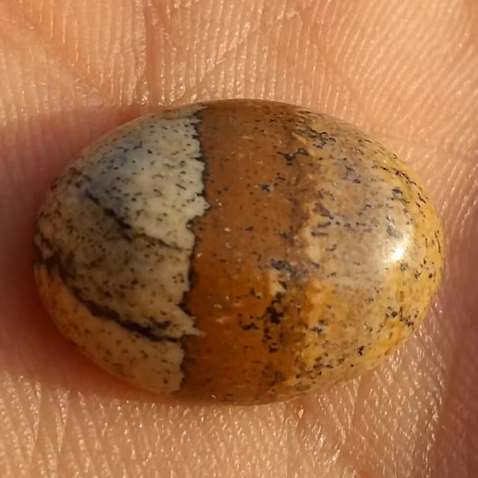 نگین سنگ جاسپر طبیعی و زیبا 
خوش تراش و خوش رنگ 
شاهکار خلقت 100 درصد طبیعی دیدنی زیباا