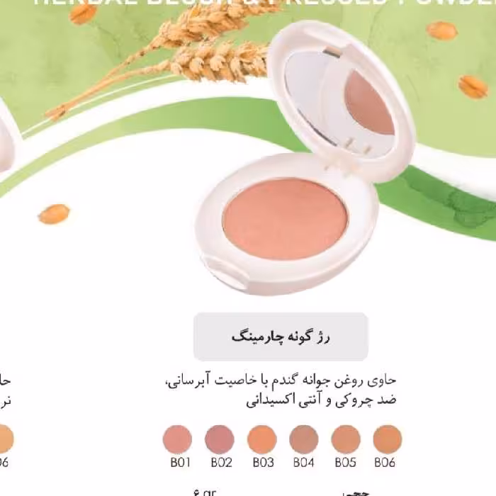 رژگونه چهارمینگ شون(حاوی روغن جوانه گندم)شماره 6