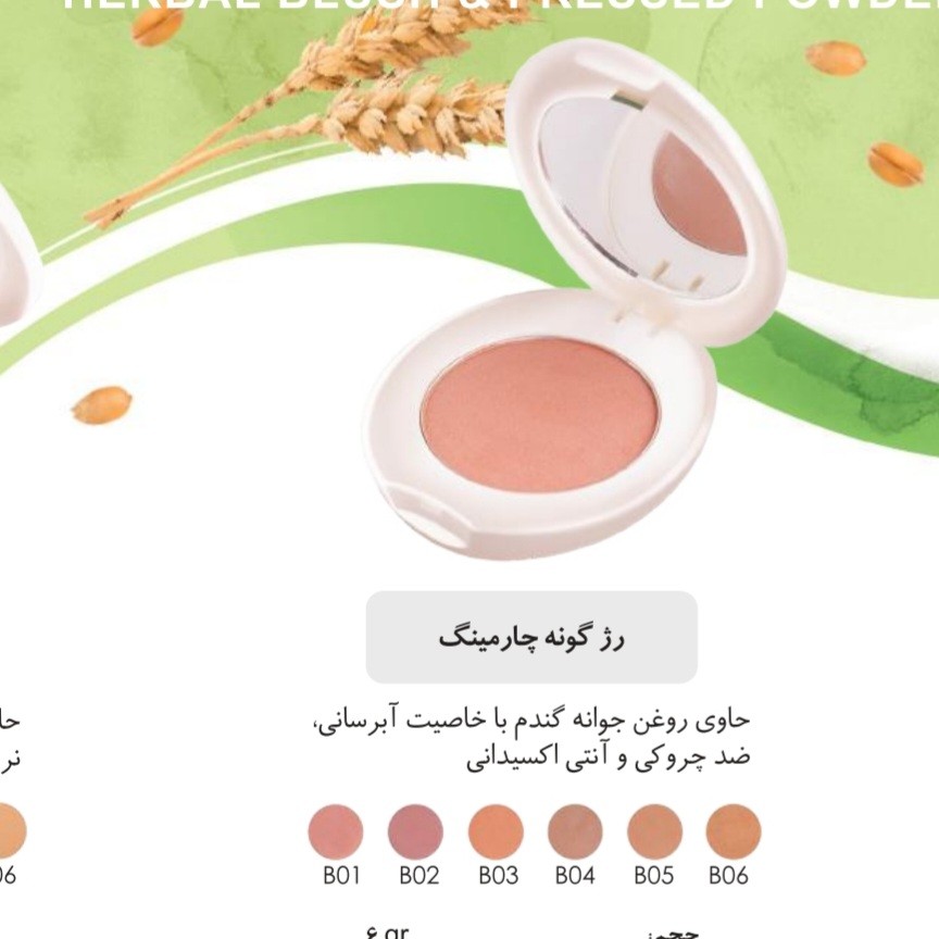 رژگونه چهارمینگ شون(حاوی روغن جوانه گندم)شماره 6