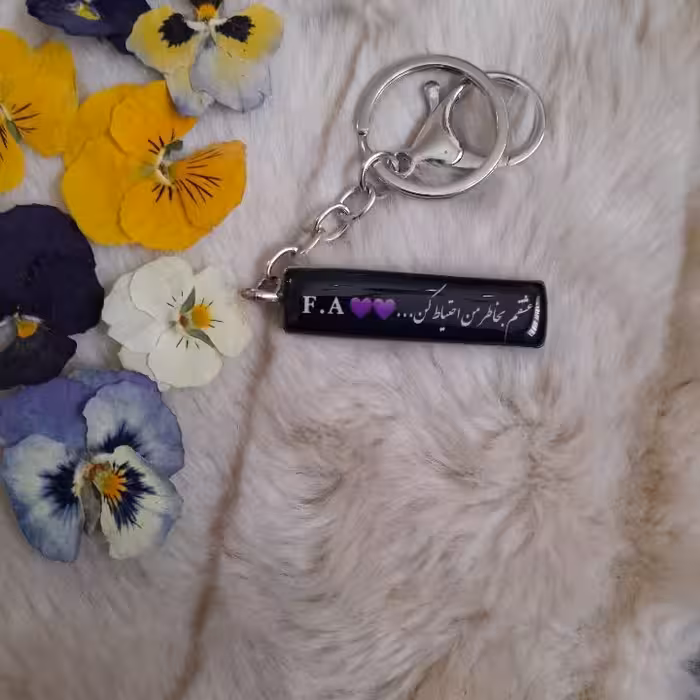 جاسویچی پلاک ماشین استیل نقره ایی