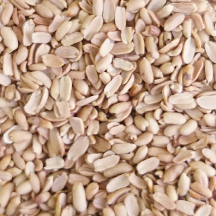 بادام کره گیری دو کیلویی ارسال رایگان