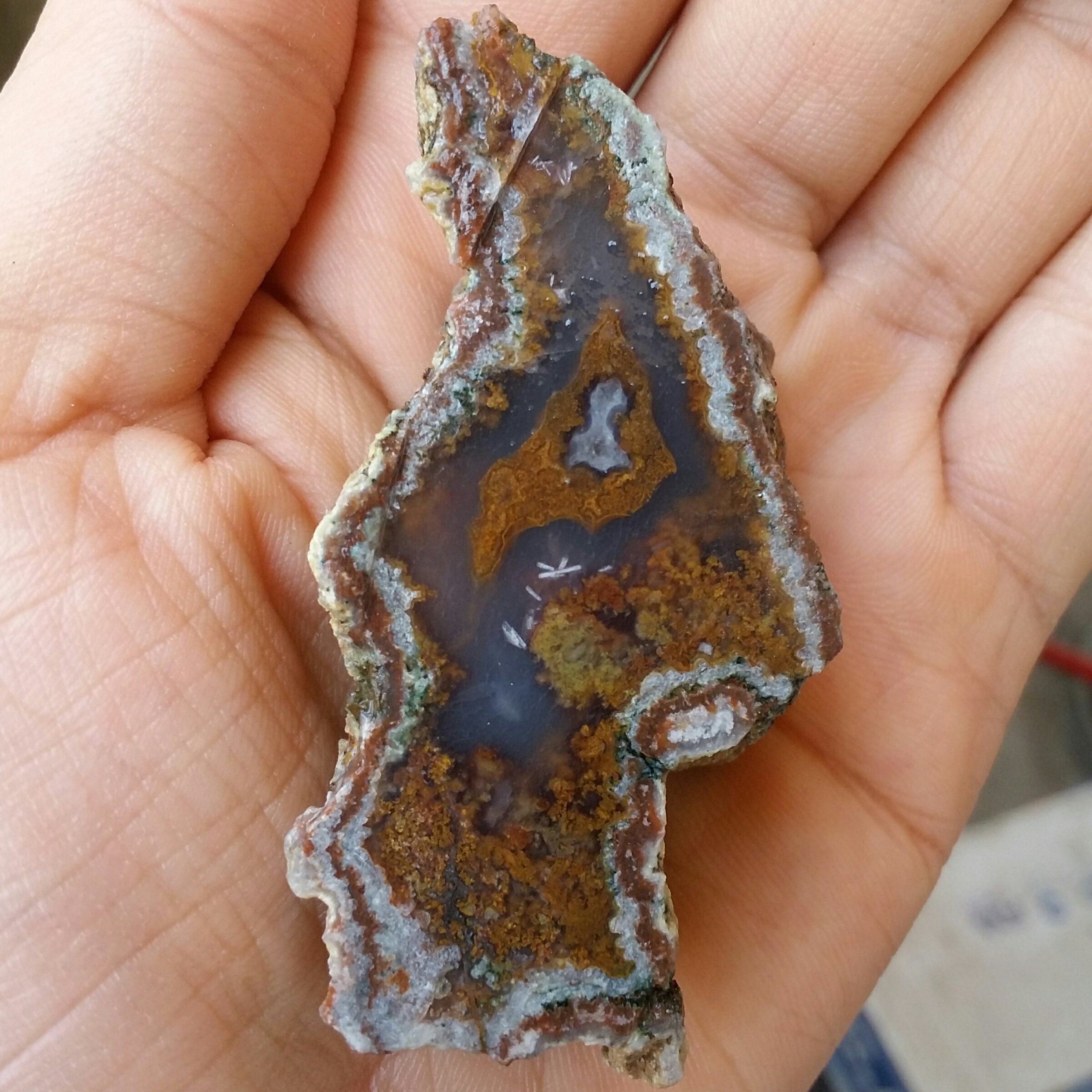 اسلایس سنگ راف شجر دریایی 7رنگ محششر 100 در صد طبیعی
شاهکار خلقت
تابلو نقاشی طبیعی
بی نظییر
