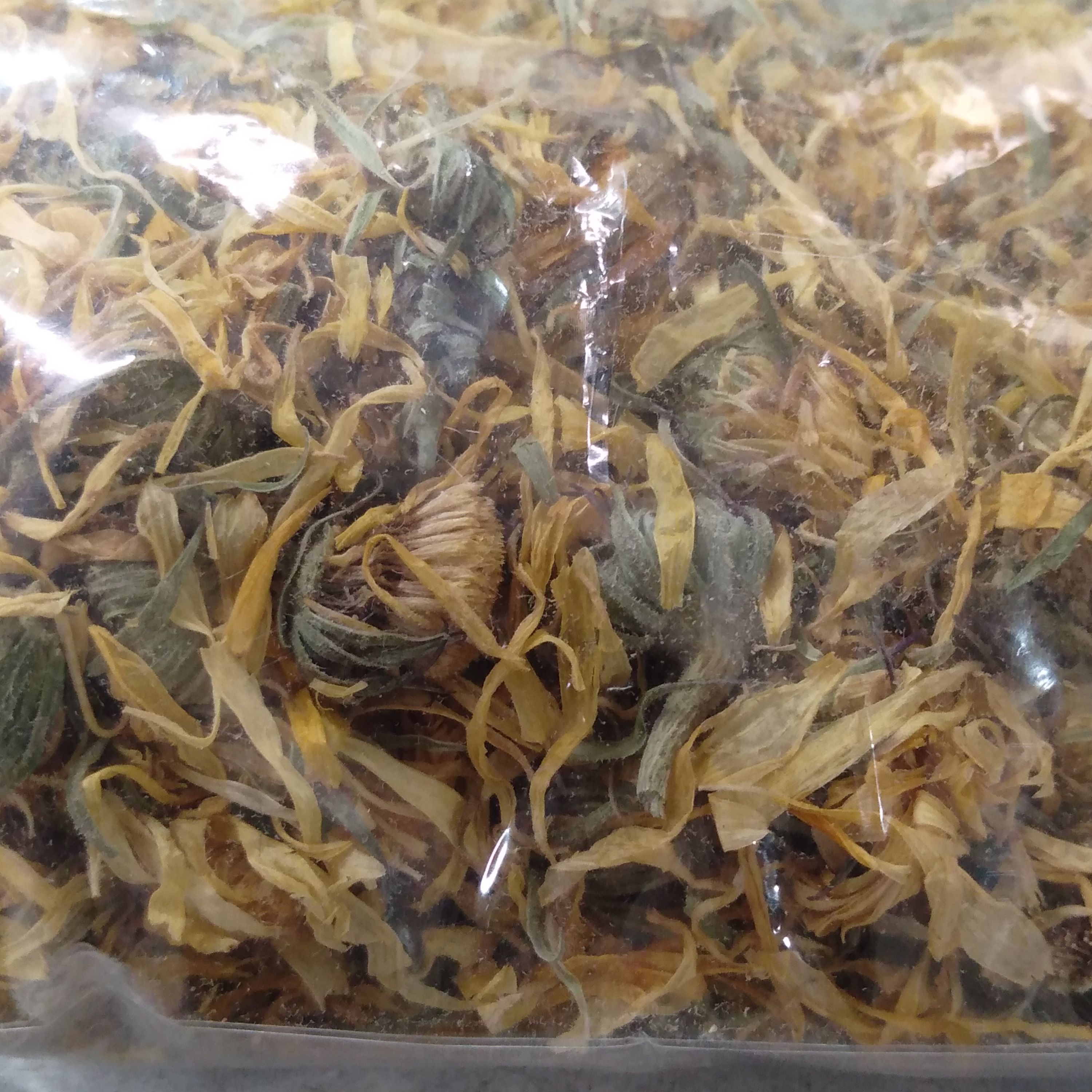 گل همیشه بهار 50 گرمی