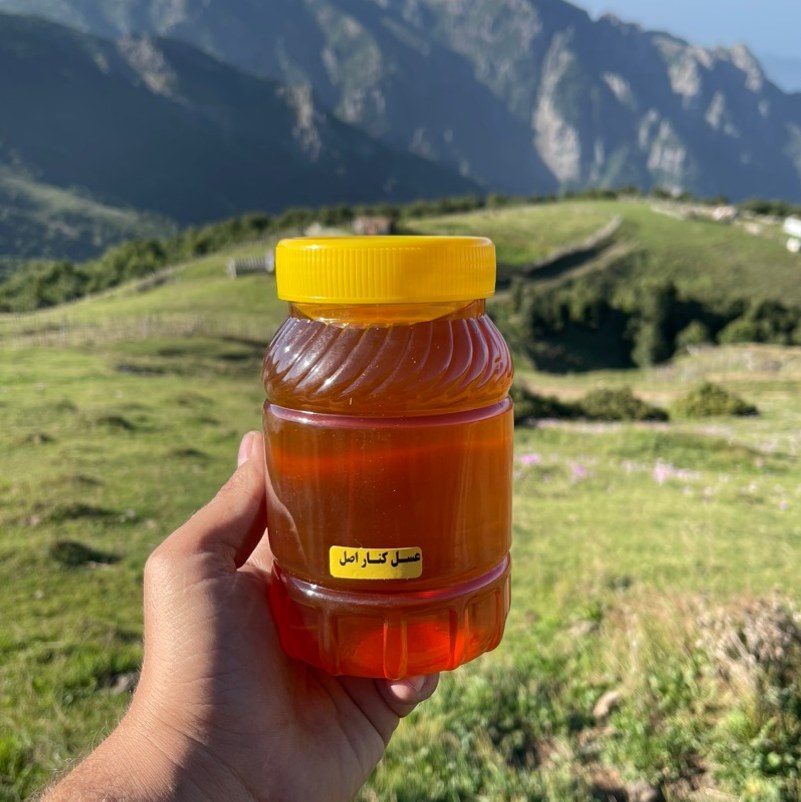 عسل کنار اصل (1 کیلویی) برداشت خوزستان ارسال به سراسر کشور رایگان