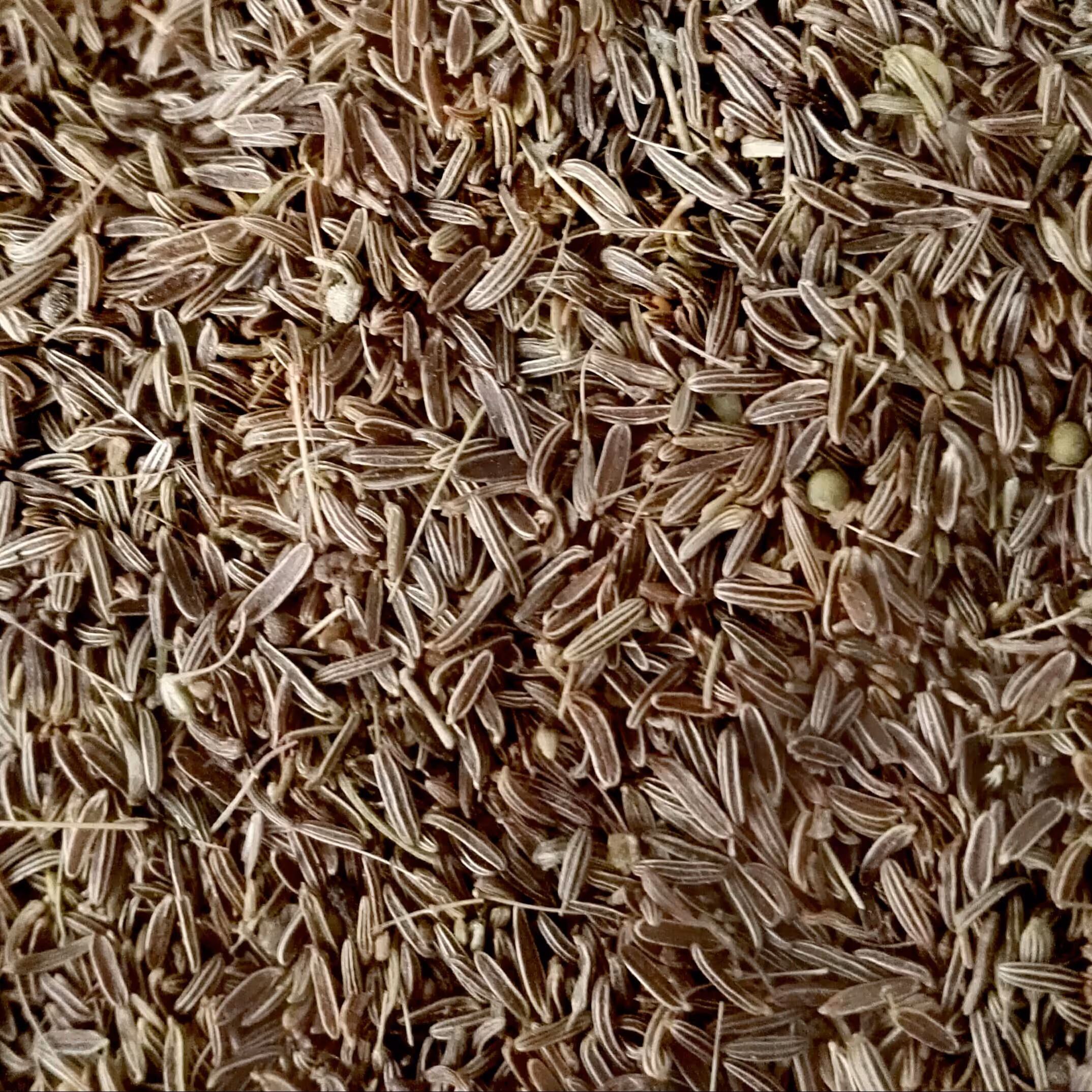 زیره سیاه اعلا