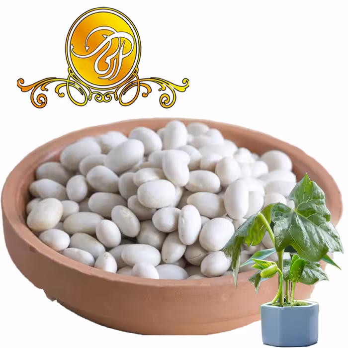 لوبیا سفید درجه یک و اعلا 600 گرم تمیز وپاک شده به شرط پزامحصول ممتاز