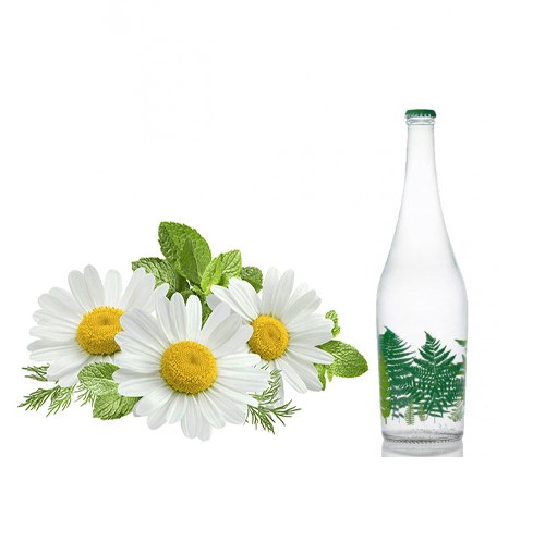 عرق بابونه یک لیتری  تقویت معده - سردرد میگرنی 