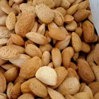 بادام درشت درجه یک کردستان کیسه 5کیلویی ارسال رایگان