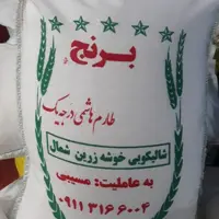 برنج طارم هاشمی امساله عمده(200کیلوگرم)مستقیم از درب کارخانه شالیکوبی