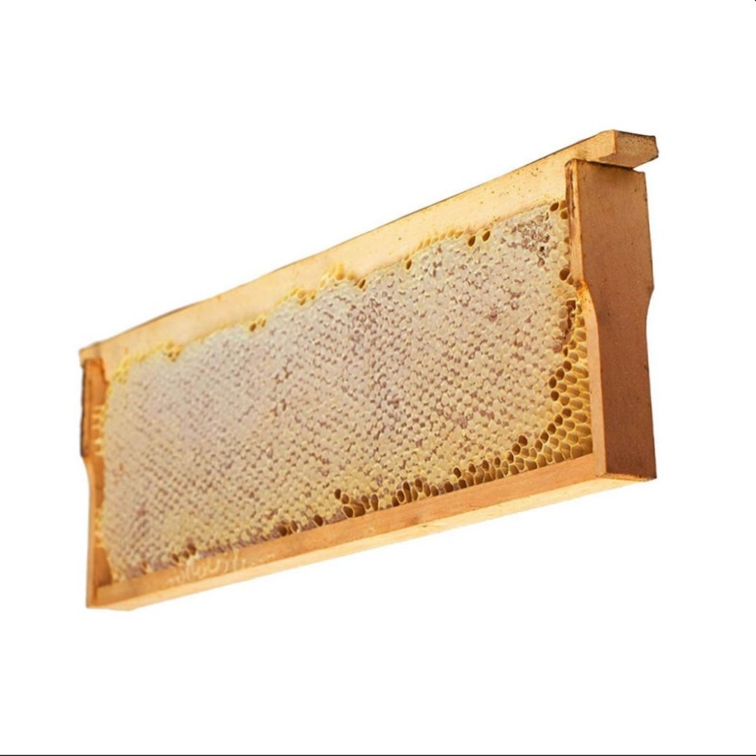 عسل موم دار با شان 1800 گرم