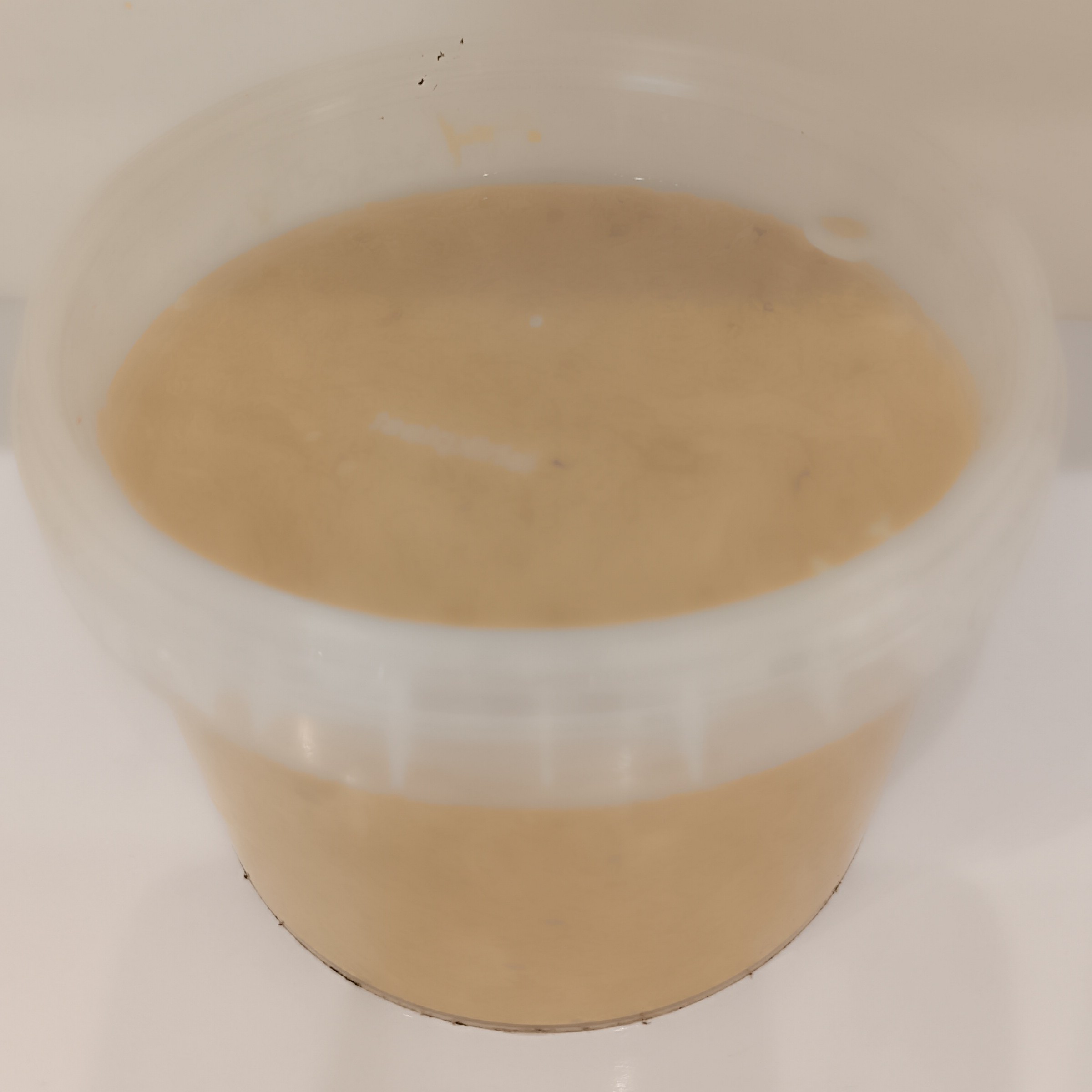 حلوا ارده جنوب با کنجد ایرانی 