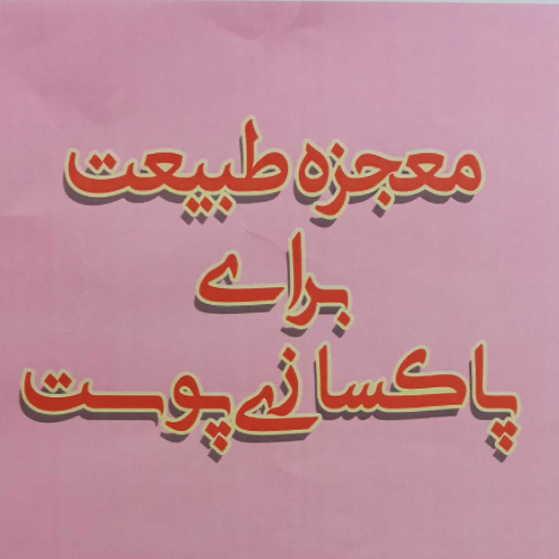 پیله کرم ابریشم 21 عددی