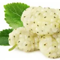 اسانس مایع خوراکی توت سفید در بسته100 گرمی