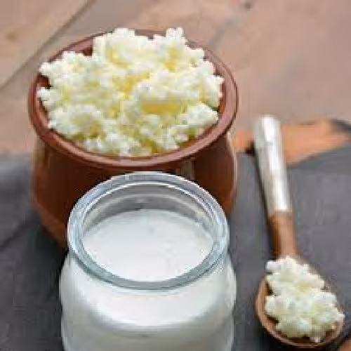 قارچ کفیر35گرمی کیفیت عالی با آموزش  رایگان