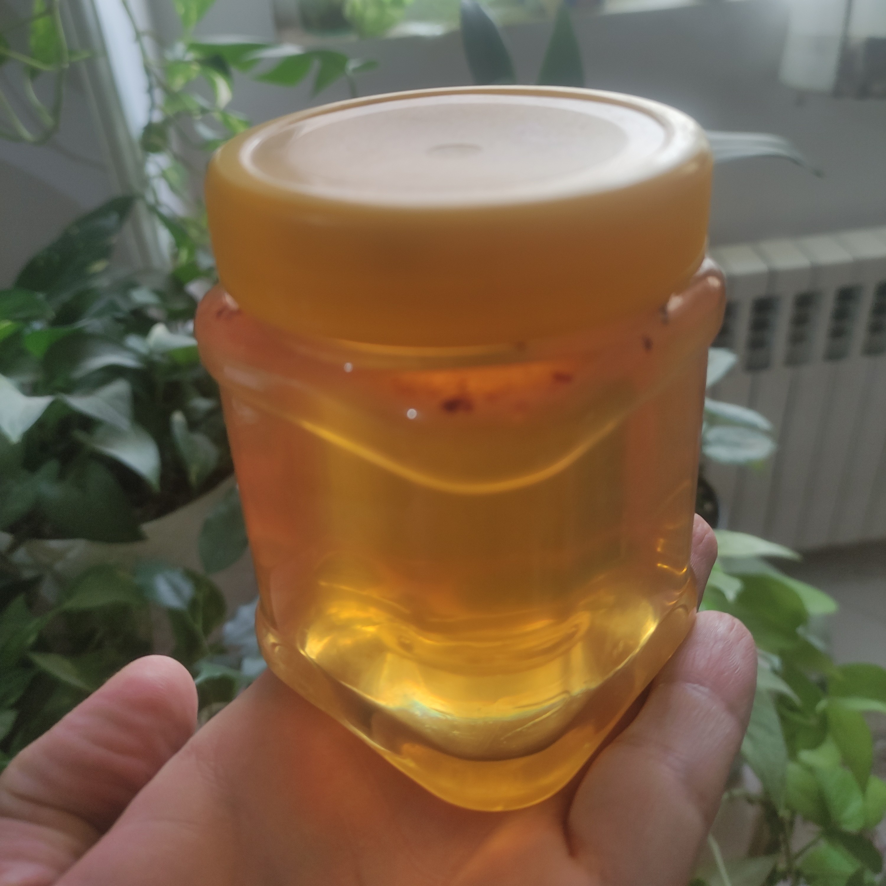 عسل صد گیاه طبیعی نیم کیلویی