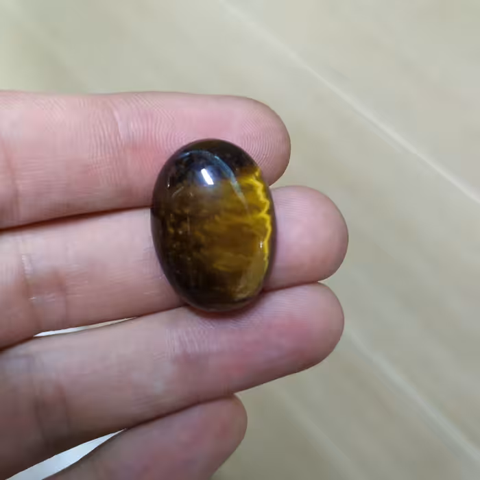 چشم ببر کد55