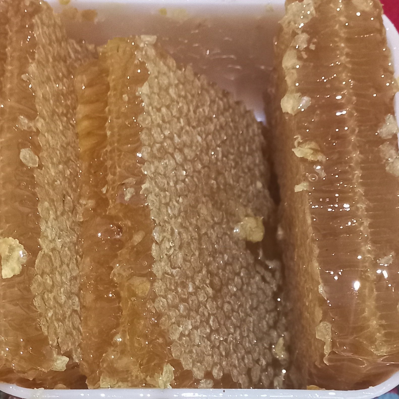 عسل طبیعی موم دار 2 کیلویی