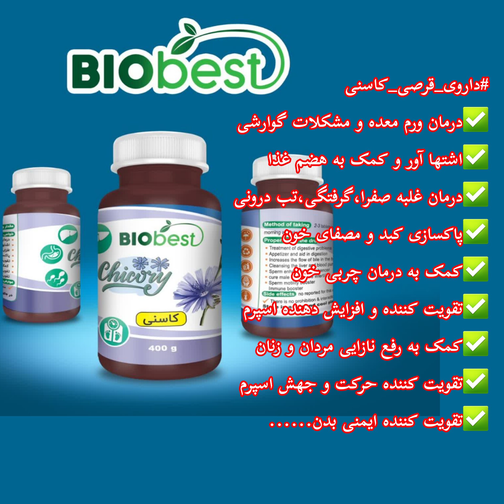 حب کاسنی