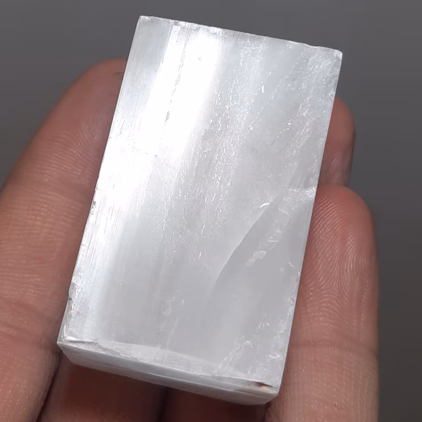 سلنایت مراکش اصل