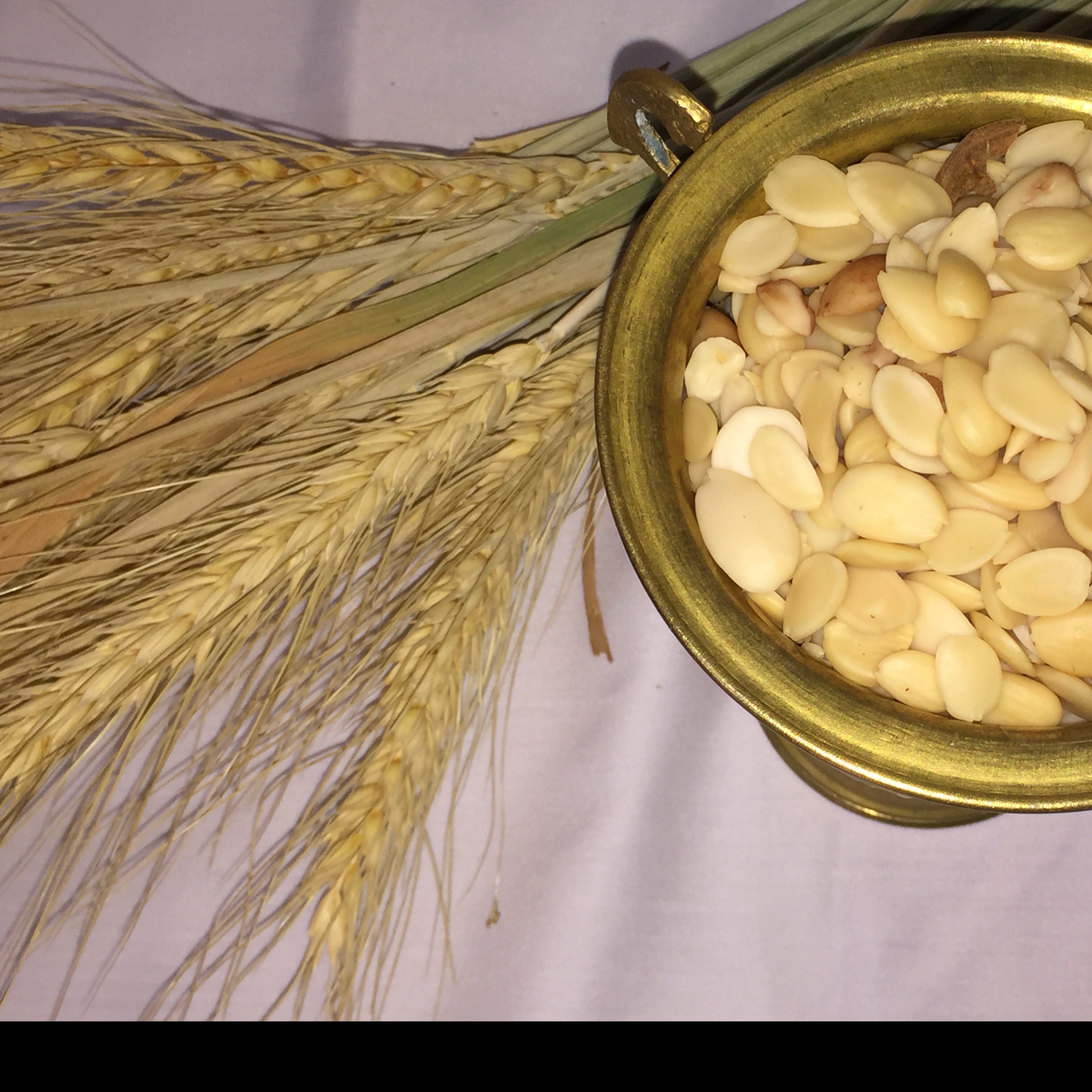 تندچه خوساری(لب لبو)