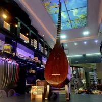 تنبور خوش صدای یک مهر اُکتاو با کاور و ارسال رایگان 
